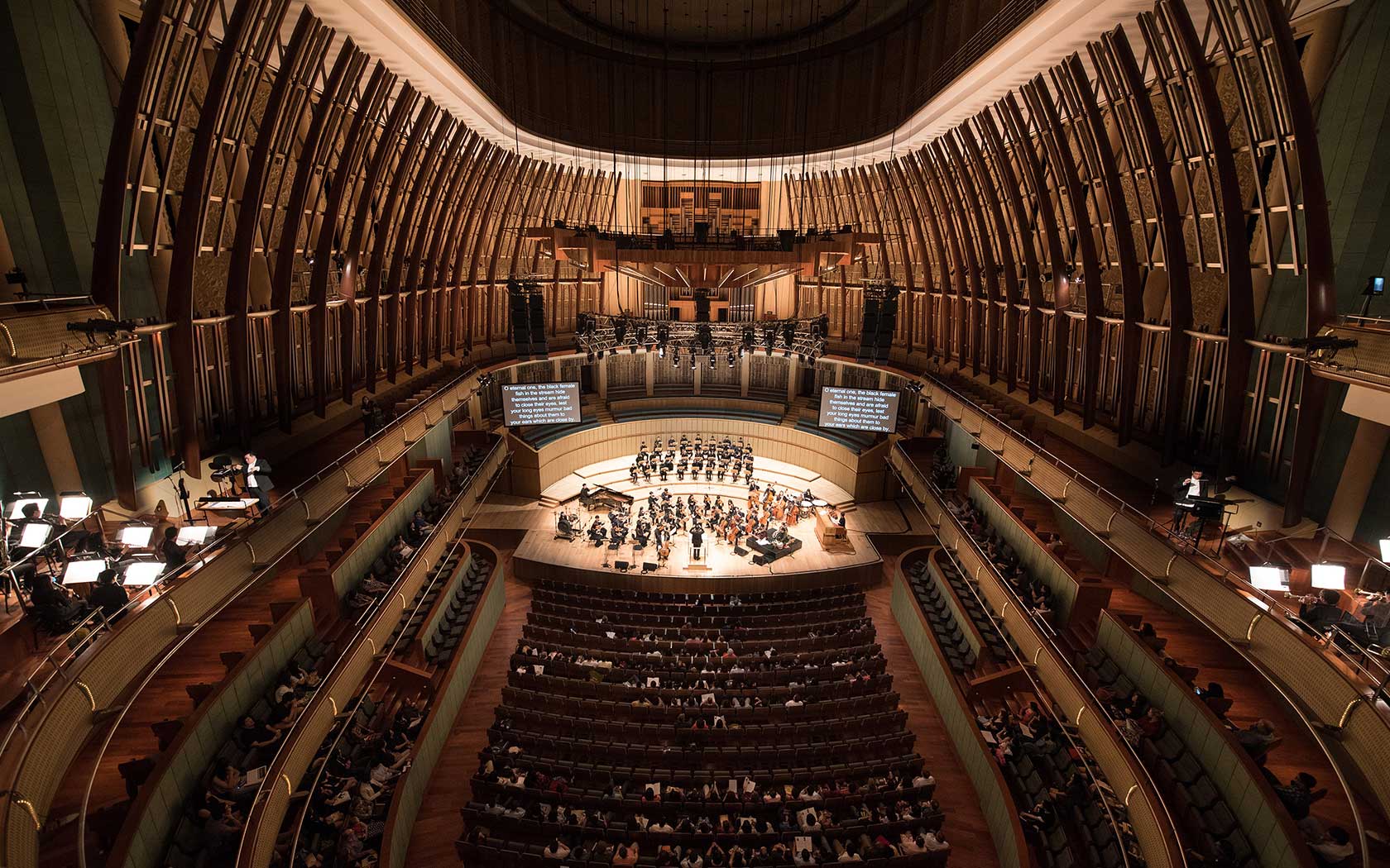 Enjoy free arts and performances every day